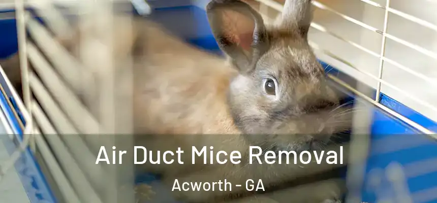  Air Duct Mice Removal Acworth - GA