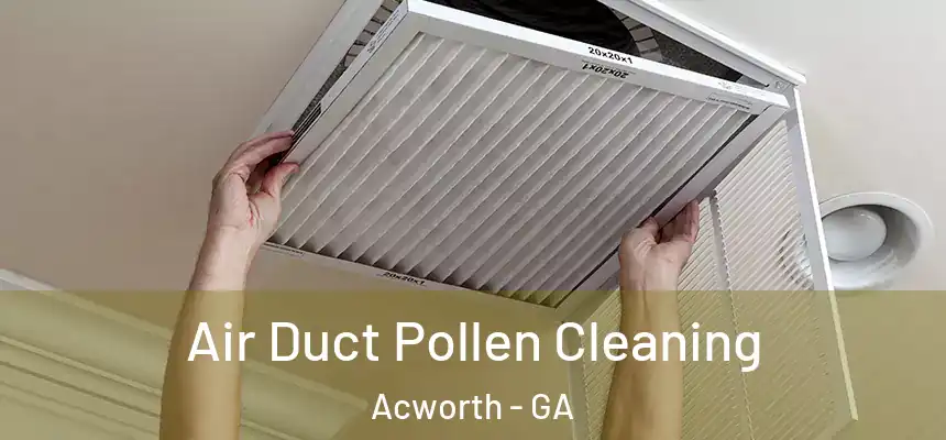  Air Duct Pollen Cleaning Acworth - GA