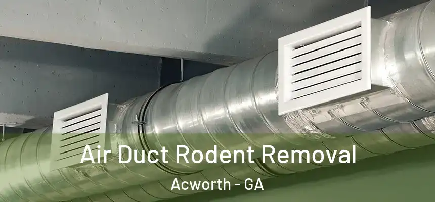 Air Duct Rodent Removal Acworth - GA