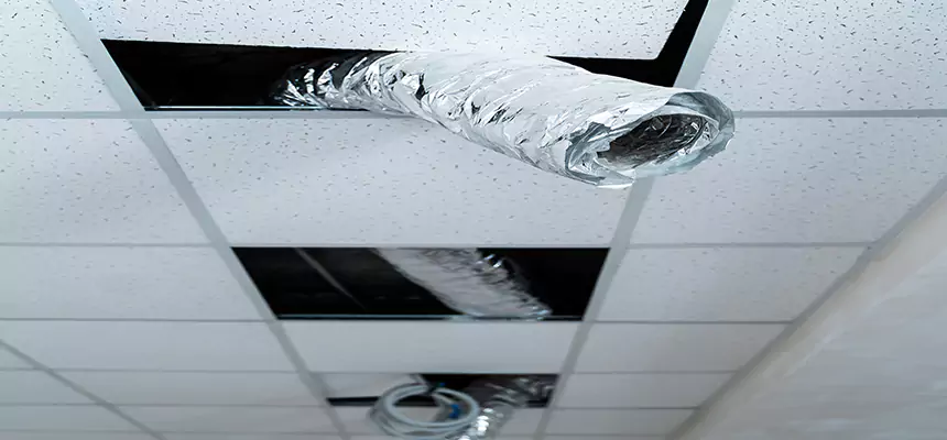 Our Air Duct Pet Hair Removal Services in Acworth, GA