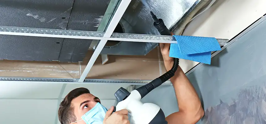 Our Air Duct Rodent Removal Services in Acworth, GA