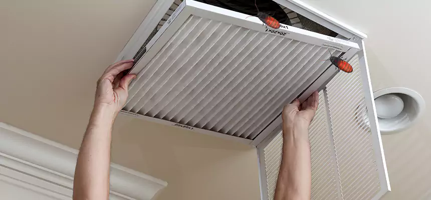 Our Insect Removal from Air Ducts Services in Acworth, GA