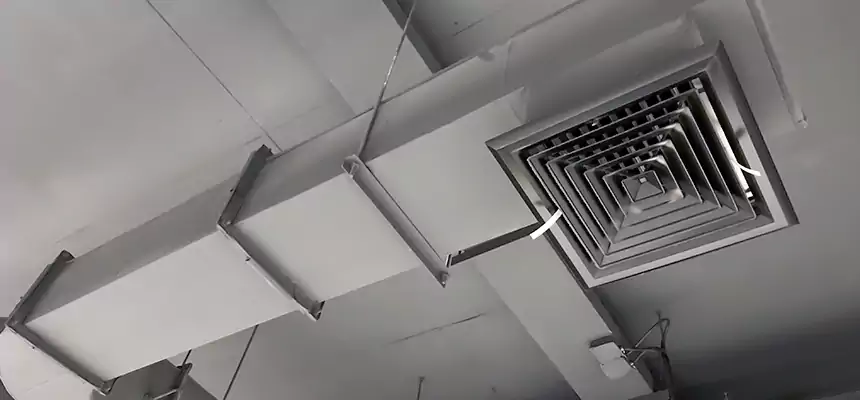 Our Pest Removal From Ducts Services in Acworth, GA