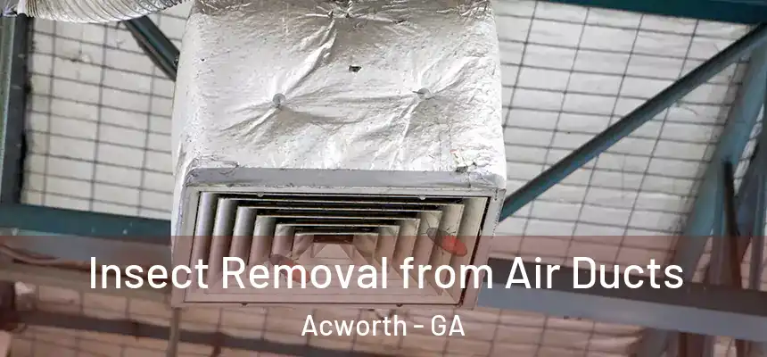 Insect Removal from Air Ducts Acworth - GA