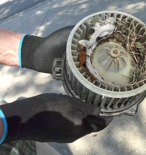 About Air Duct Mice Removal in Acworth, GA