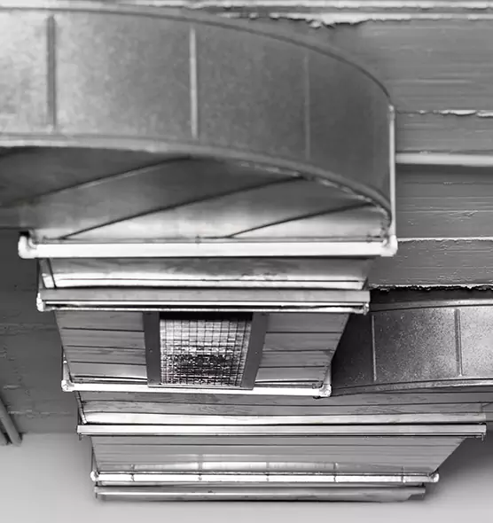 Professional Air Duct Pest Removal in Acworth, GA