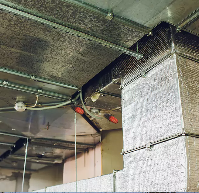 Why Homeowners & Businesses Trust Us in Acworth, GA?