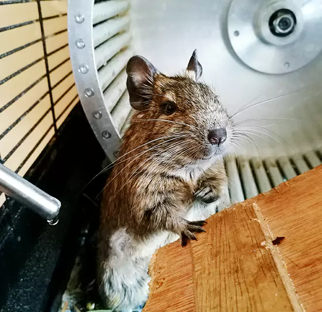 Why Homeowners & Businesses Trust Us Acworth, GA